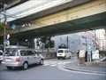 出入橋の寫眞