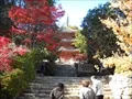 宝福寺の紅葉(2011-11-26-6)