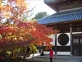 宝福寺の紅葉(2011-11-26-7)