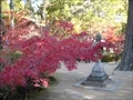 宝福寺の紅葉(2011-11-26-8)