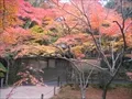 宝福寺の紅葉(2007-11-26-7)