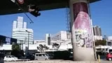 野田阪神驛前 阪神高速橋脚の「のだふじ」の寫眞 2017-11-14撮影