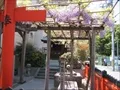春日神社の藤棚の寫眞1