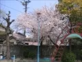 大野東公園の写真(3)
