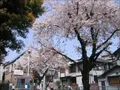 藤之棚児童遊園地の写真(1)