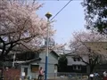 藤之棚児童遊園地の写真(2)