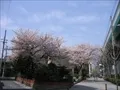 玉川コミュニティセンターの写真