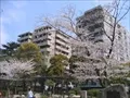 下福島公園(2)の写真
