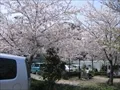 下福島公園(3)の写真
