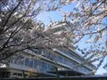 下福島公園(4)の写真