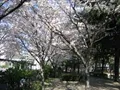 下福島公園(5)の写真