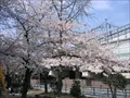 上福島公園(1)の写真