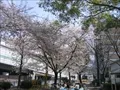 上福島公園(1-1)の写真