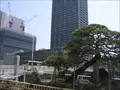 蛸の松（中之島側、廣島藩と久留米藩の境の堂嶋川岸に生えてゐたとされる枝振りの良い松）の写真1 (2008-04-06)