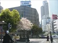 櫻橋交差点の写真