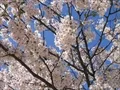 野田コミュニティセンター(2)の写真