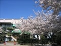 野田コミュニティセンター(3)の写真