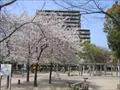 鷺洲上公園(2) 2004年4月7日撮影