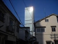 投稿画像 100